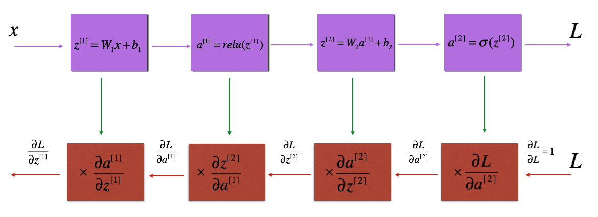 backward propagation architecture