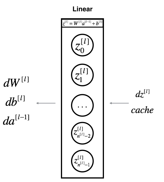 backward propagation cache